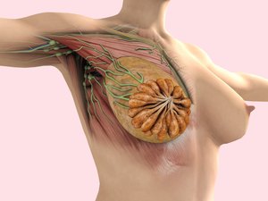 乳腺癌