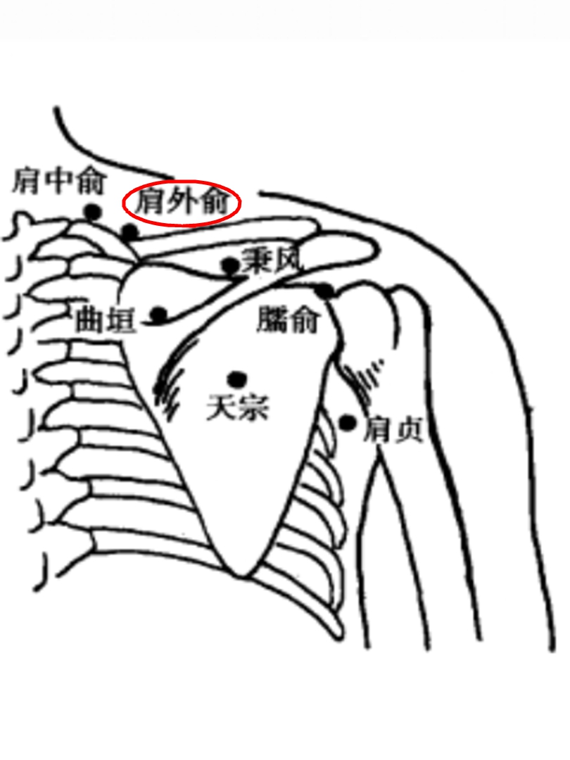 肩外俞穴