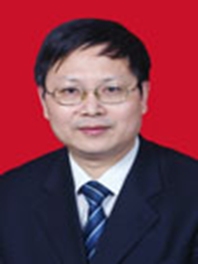 江龙武