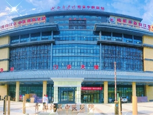 成都市青白江区中医医院