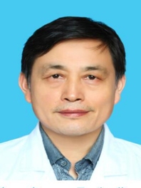 马先葵