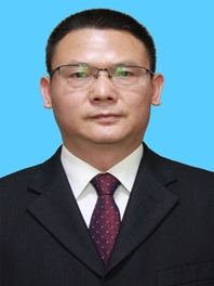 陈逵