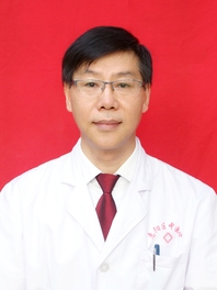 杜利民
