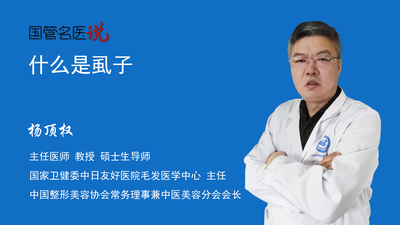 什么是虱子