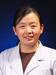 田红丽