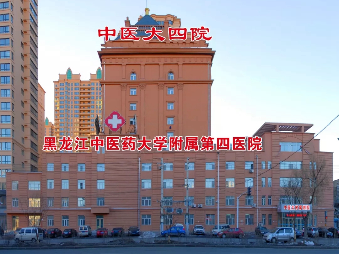 黑龙江中医药大学标志logo图片-诗宸标志设计