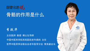 骨骼的作用是什么