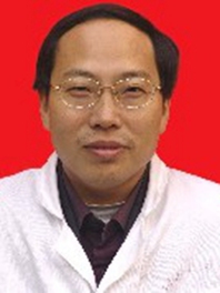 梅帅虎