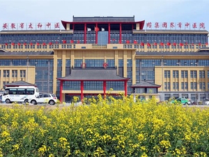 界首市中医院