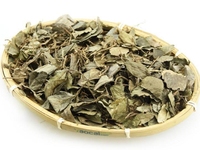 矮地茶