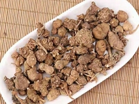 珠子参