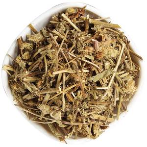 灯盏花