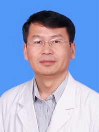 贺文辉