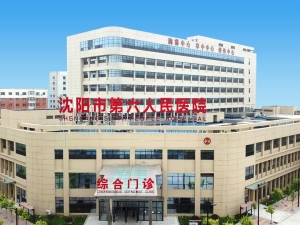 沈阳市第六人民医院