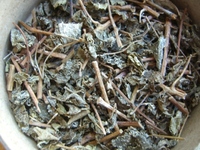 甘露茶