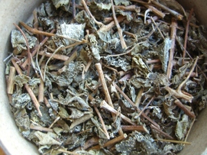 甘露茶