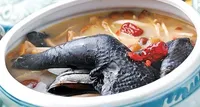 枣仁百合烧乌鸡