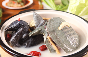 乌鸡炖甲鱼