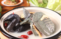 乌鸡炖甲鱼