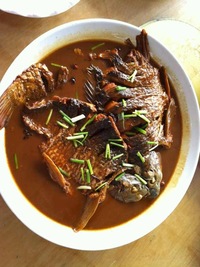 炖鲤鱼
