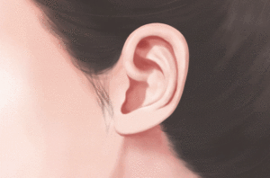 自体脂肪填充耳垂