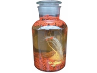 人参枸杞酒