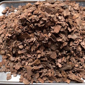 松树皮的功效作用