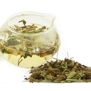 猫须草茶