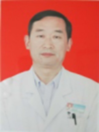 贺书鑫