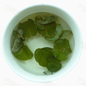 金钱草茶