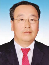褚金国