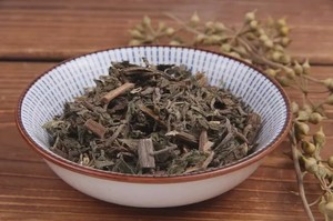 旱莲草