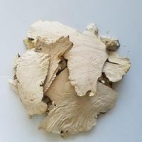 白土茯苓
