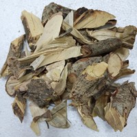 盐麸子根