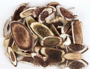 牛嗓管树根