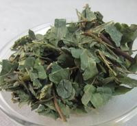 鸡骨菜