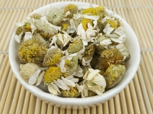 洋甘菊
