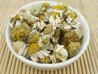 洋甘菊