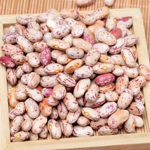 菜豆