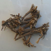 阿纳其根