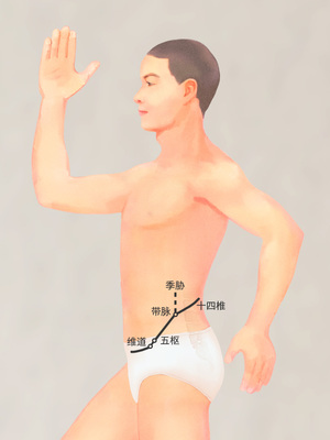 带脉
