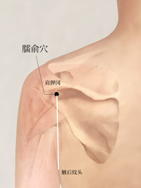 臑俞穴