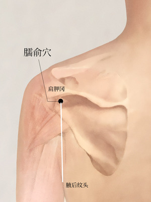 臑俞穴