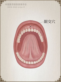 龈交穴