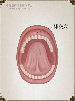 龈交穴