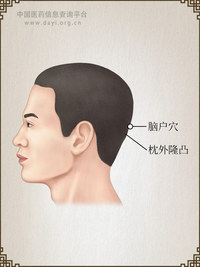 脑户穴