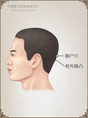 脑户穴