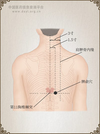 脾俞穴