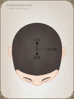 顶中线
