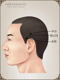 颞后线